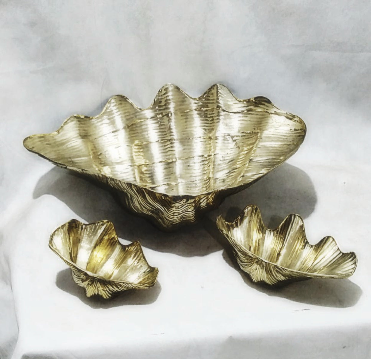 Brass Clam Shell 45cm
