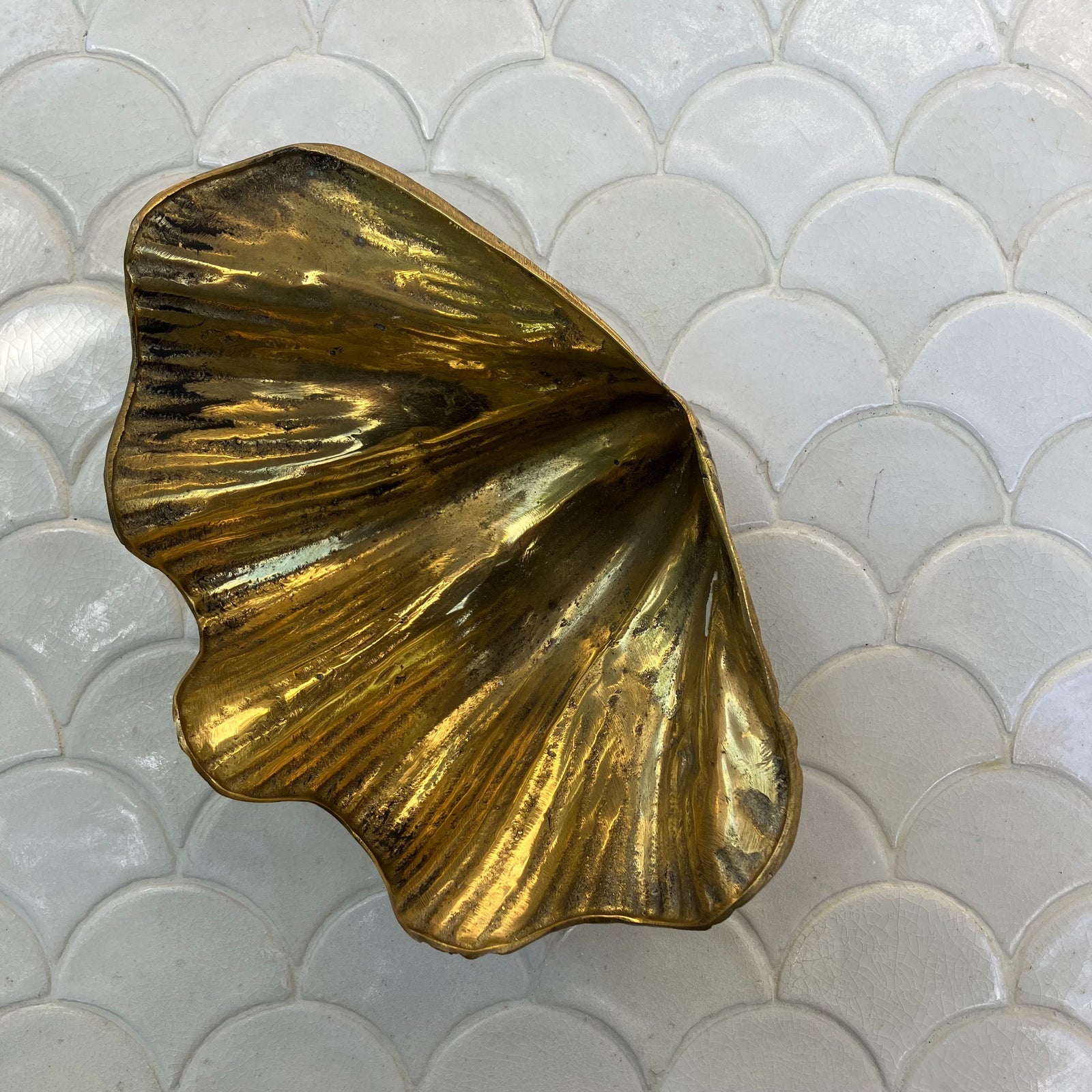 Brass Clam Shell 45cm