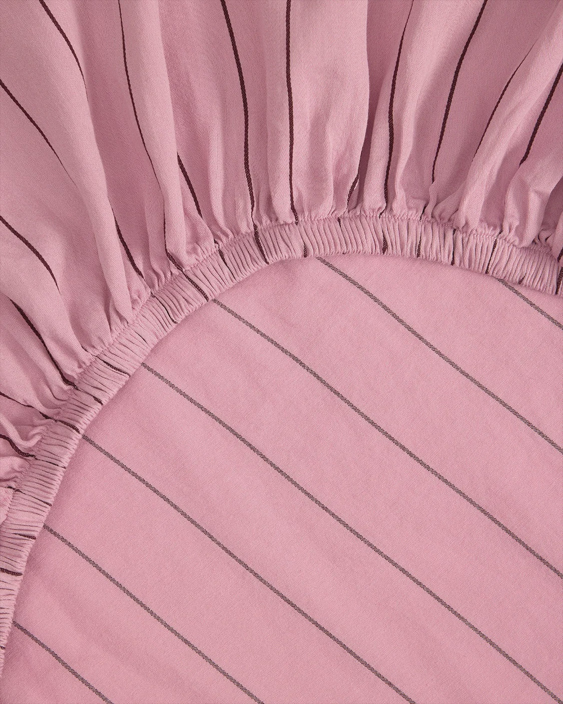 Fitted Sheet Aster