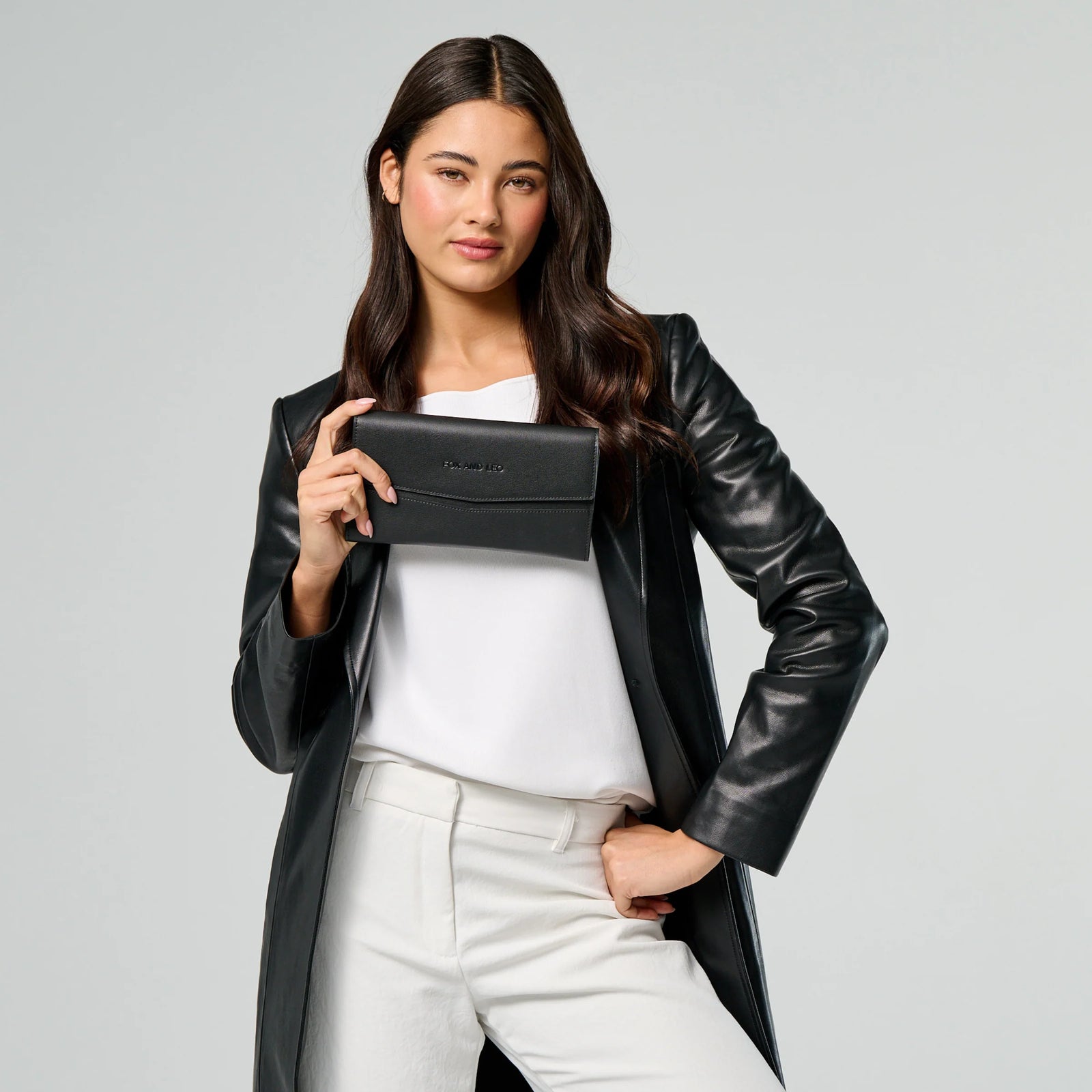 Fox and Leo The Traveller