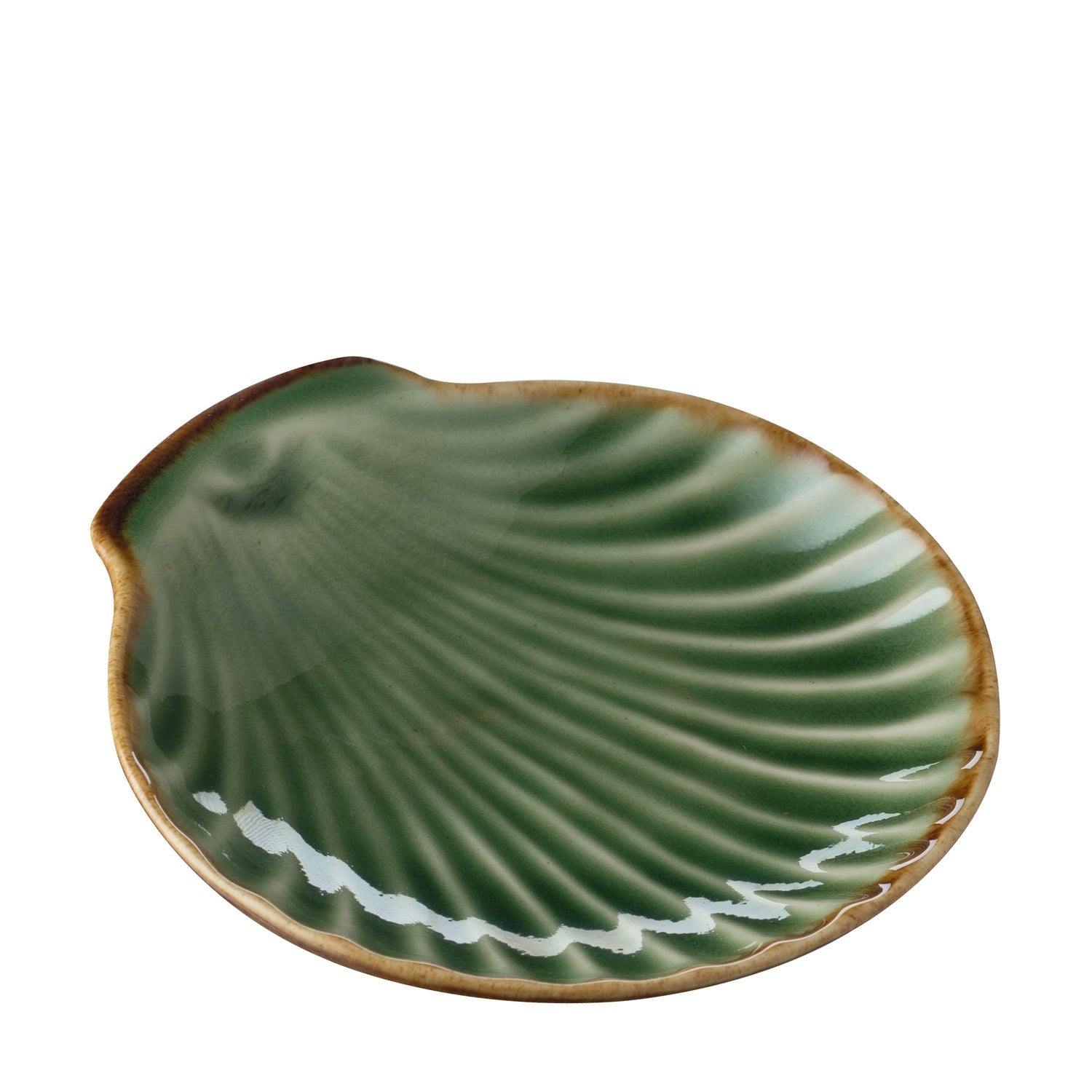 Shell Soap Plate