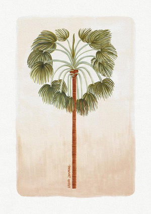 Paradise Palms - 2