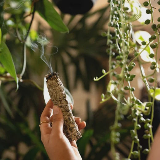 White Sage Smudge Stick Set 2