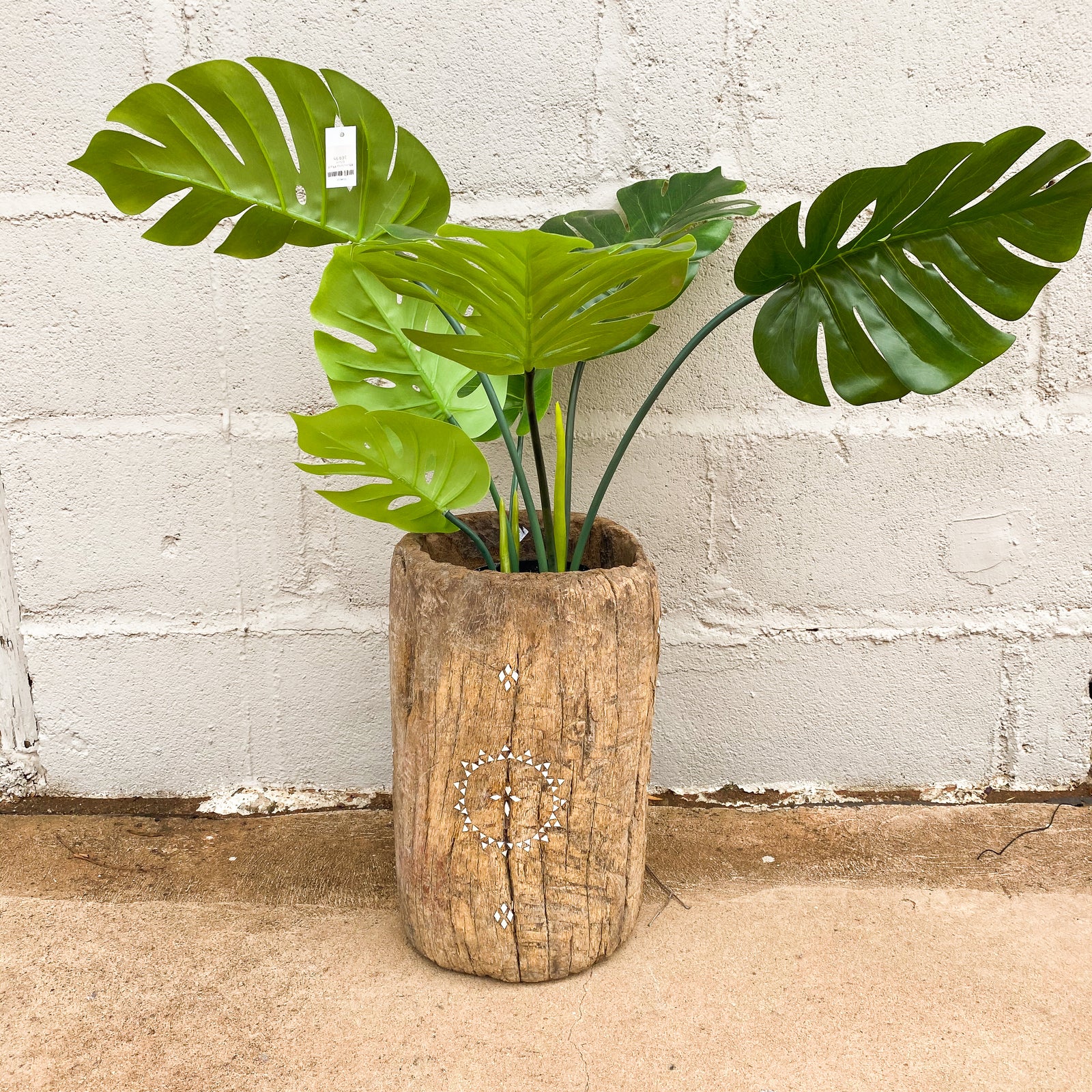 Pot Wood Antique Mill with Shell