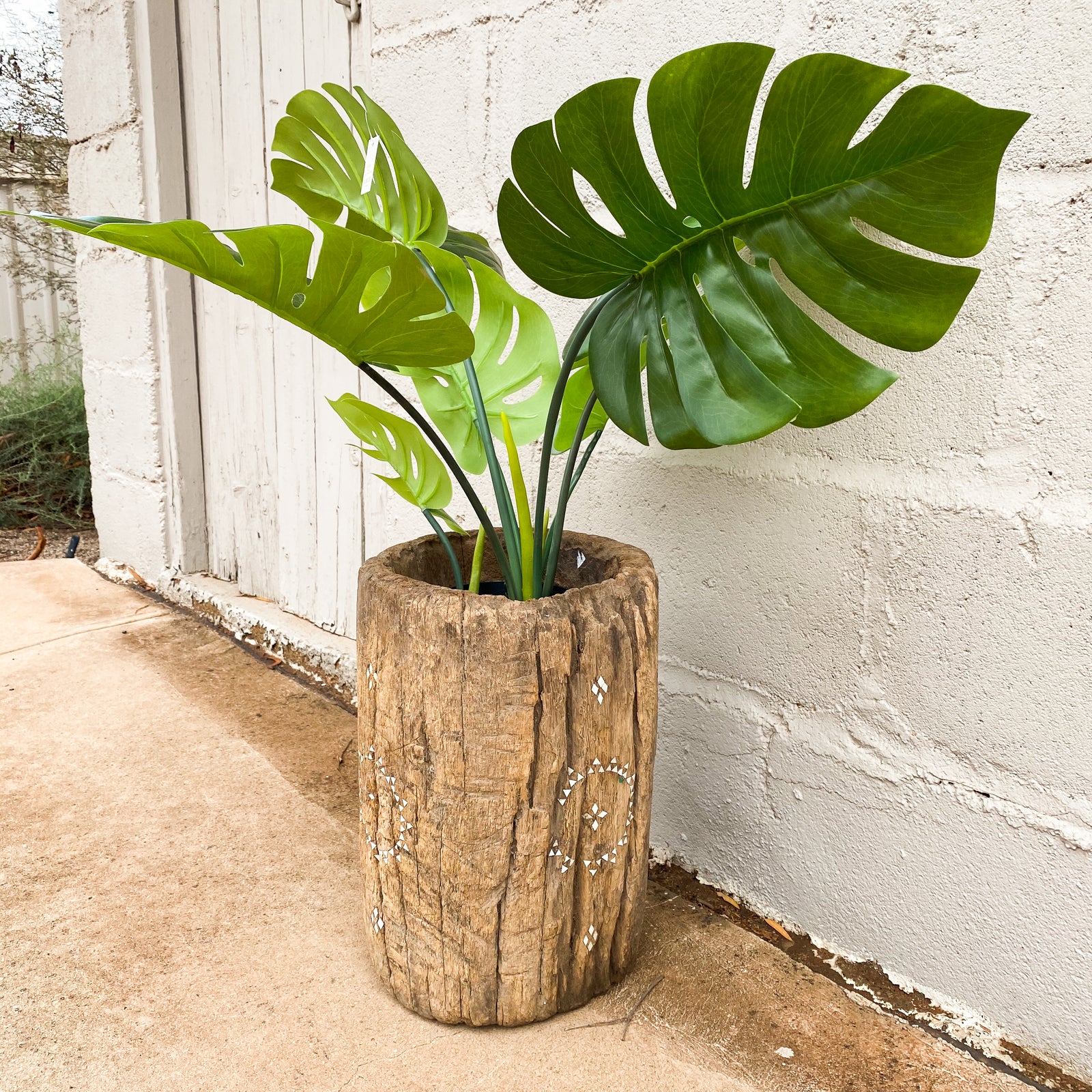 Pot Wood Antique Mill with Shell