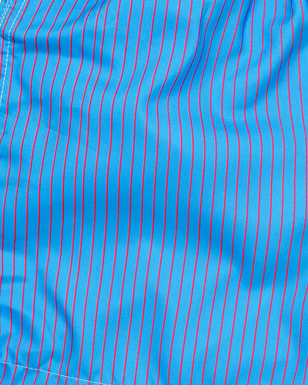 Mens Classic Swim Short Stripe Blue