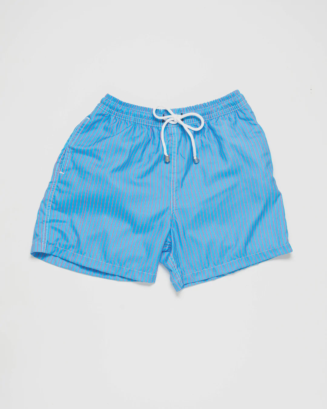 Mens Classic Swim Short Stripe Blue