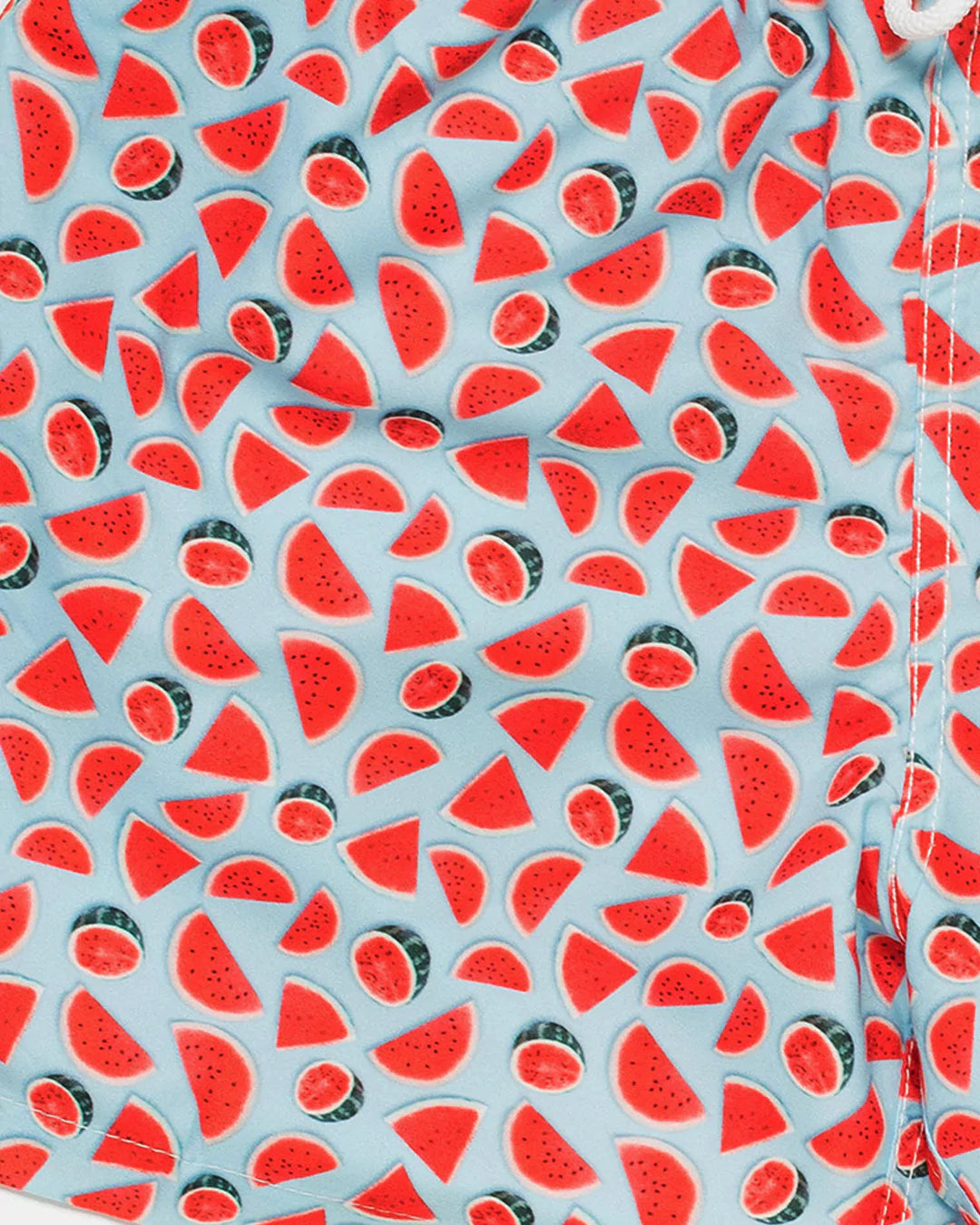 Mens Classic Swim Short Watermelon