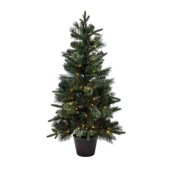 Sassafras Prelit Entrance  Christmas Tree