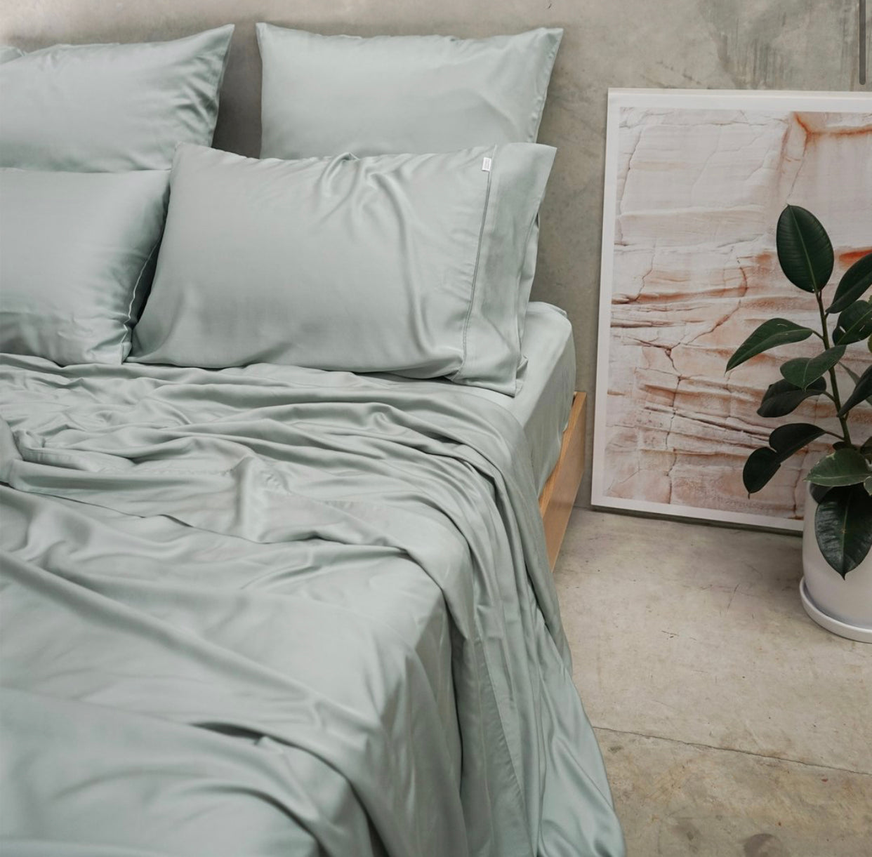 Bamboo Pillowslip King Size