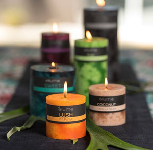 Candle Kiwi Waterlily